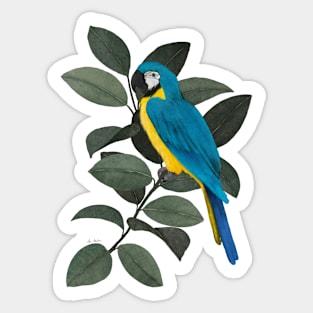 Parrot and jungle Sticker